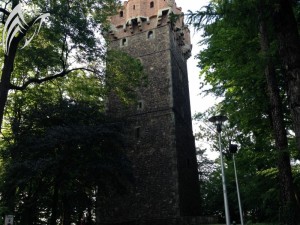 Cieszyn Wieża Piastowska 