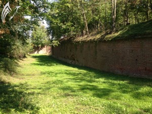 Fort Werner