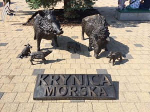 Krynica Morska